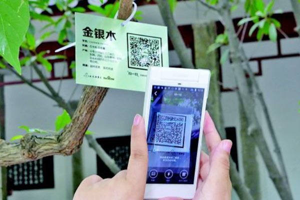 智慧服务解决方案