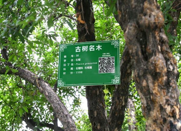 智慧服务解决方案